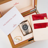 Seamaster Railmaster 38mm Unworn 2026 LC100 - 235.10.38.20.06.001