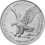 1 oz Silver Eagle AI – Networking 2023