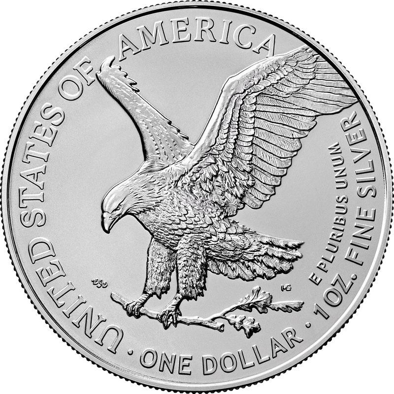 1 oz Silver Eagle AI – Networking 2023