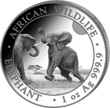 1 oz silver Somalia Elefant 2024