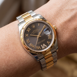Rolex Datejust 31 Ref. 278243 (2021)