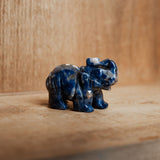 Sodalite Elephant 2" Gemstone Carving