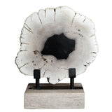 12" Petrified Wood Slice on Stand