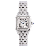 Panthère de Cartier 2018 - W4PN0007