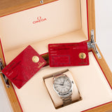 Seamaster Aqua Terra 42mm Silver Dial - 231.10.42.21.02.006