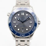 Omega Seamaster Diver 300M Co‑Axial Master Chronometer 42 mm – Ref. 210.32.42.20.06.001