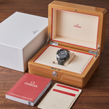 Omega Seamaster Planet Ocean