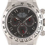 Daytona Racing Grey Dial Full Set LC100 2011 - 116519
