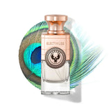 Aurora - EdP