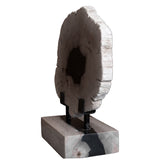 12" Petrified Wood Slice on Stand