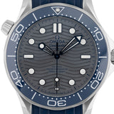 Seamaster Diver 300M Blue Bezel Grey Dial 2018 - 210.32.42.20.06.001