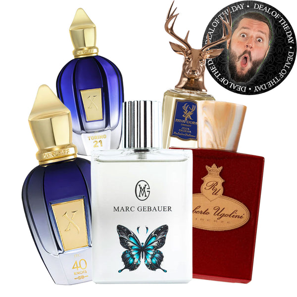 DOTD | Cocoon + Perfumes