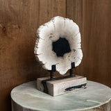 12" Petrified Wood Slice on Stand