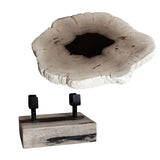 12" Petrified Wood Slice on Stand