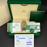 Oyster Perpetual 36mm White Grape Dial 2017 - 116000
