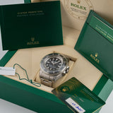 Deepsea Challenge New Dial 2025 Full Sticker - 126067