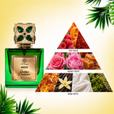 DOTD | Rocca + Dates Delight (WL)