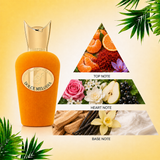 DOTD | Ocean's Luminescence + Dolce Melodia Miniatur