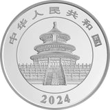 150g Silber China Panda 2024 Polierte Platte