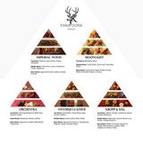 Red - Travel Set 2026