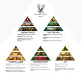 Black - Travel Set 2026