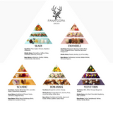 Turquoise - Travel Set 2026