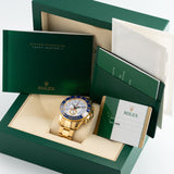 Yacht-Master 44 Yellow Gold LC100 2013 - 116688