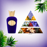 DEAL | Accento Viola + Tender Peach