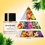 DOTD | Acne Studios + La Sarrapia (White Label / Tester)