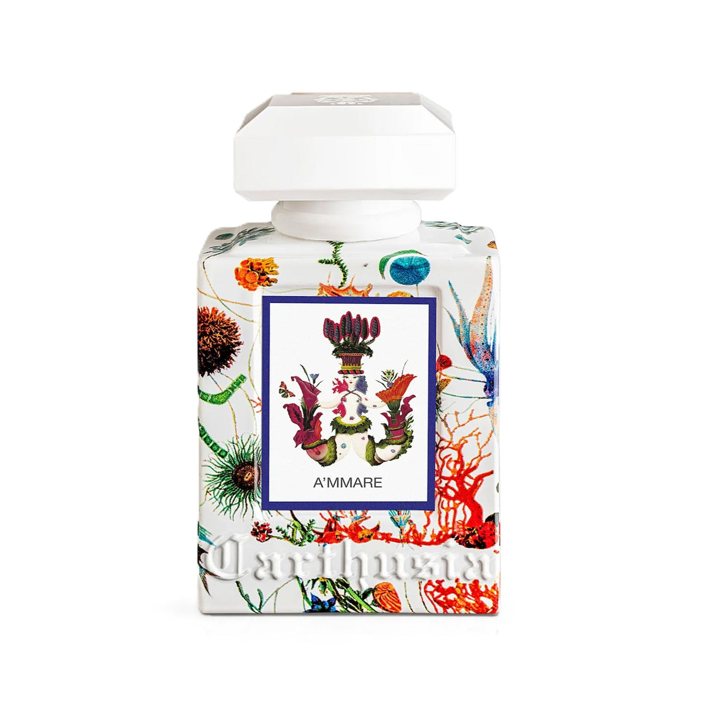 香水(ユニセックス) Carthusia A'MMARE 50ml A'MMare - Eau de Parfum