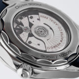 Seamaster Diver 300M Blue Bezel Grey Dial 2018 - 210.32.42.20.06.001