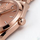 Seamaster Aqua Terra Rosegold Sundust Dial 30mm 2026 - 220.50.30.20.09.001