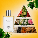 DOTD | Malibu - Eau de Parfum + Cococaine