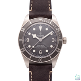 Black Bay Fifty-Eight 39 mm 2025 - 79010SG