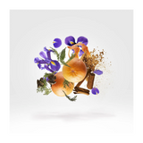 P.33 blank page edition