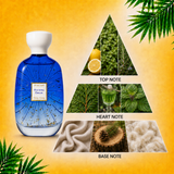 DOTD | Astrum Nova + Riviera Drive