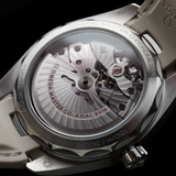 Seamaster Aqua Terra Small Seconds Silver Dial 2021 - 220.10.41.21.10.001