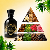 DOTD | Core Memory + Vani' Rhum