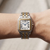 Panthère de Cartier Medium Size - W2PN0014