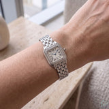 Panthère de Cartier 2018 - W4PN0007